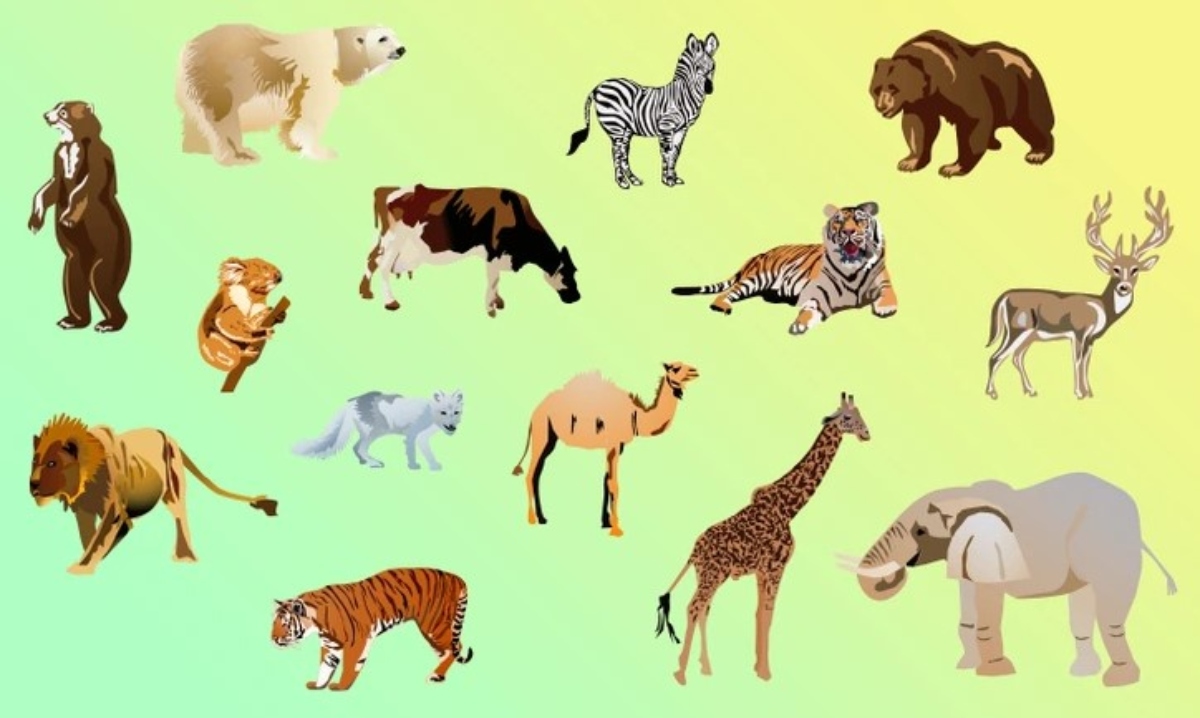 اختبار الذكاء المحفز للدماغ: هل يمكنك اكتشاف الحيوان الغريب في الصورة خلال 9 ثوانٍ؟