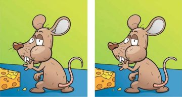 لغز اكتشاف الاختلاف.. اكتشف 5 فروق بين صور الفأر وهو يأكل الجبن في 14 ثانية