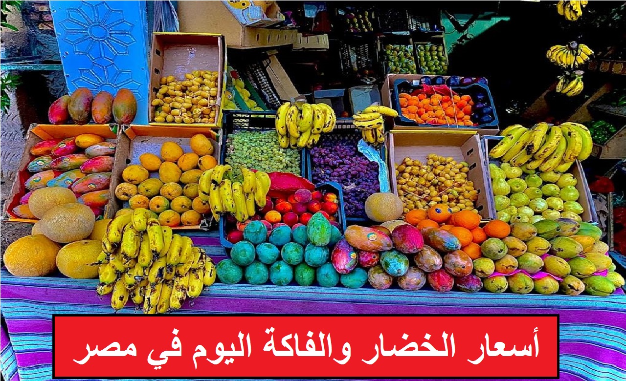 أسعار الخضار والفاكهة اليوم في مصر تركب الصاروخ والأسعار بقت مولعة نار