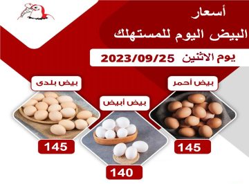 زيادة جنونية في أسعار البيض في الأسواق على الرغم من نزول سعر العلف