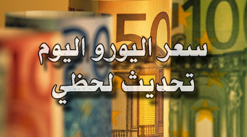 يشهد إستقراراً.. سعر اليورو اليوم ضمن تعاملات البنوك في مصر