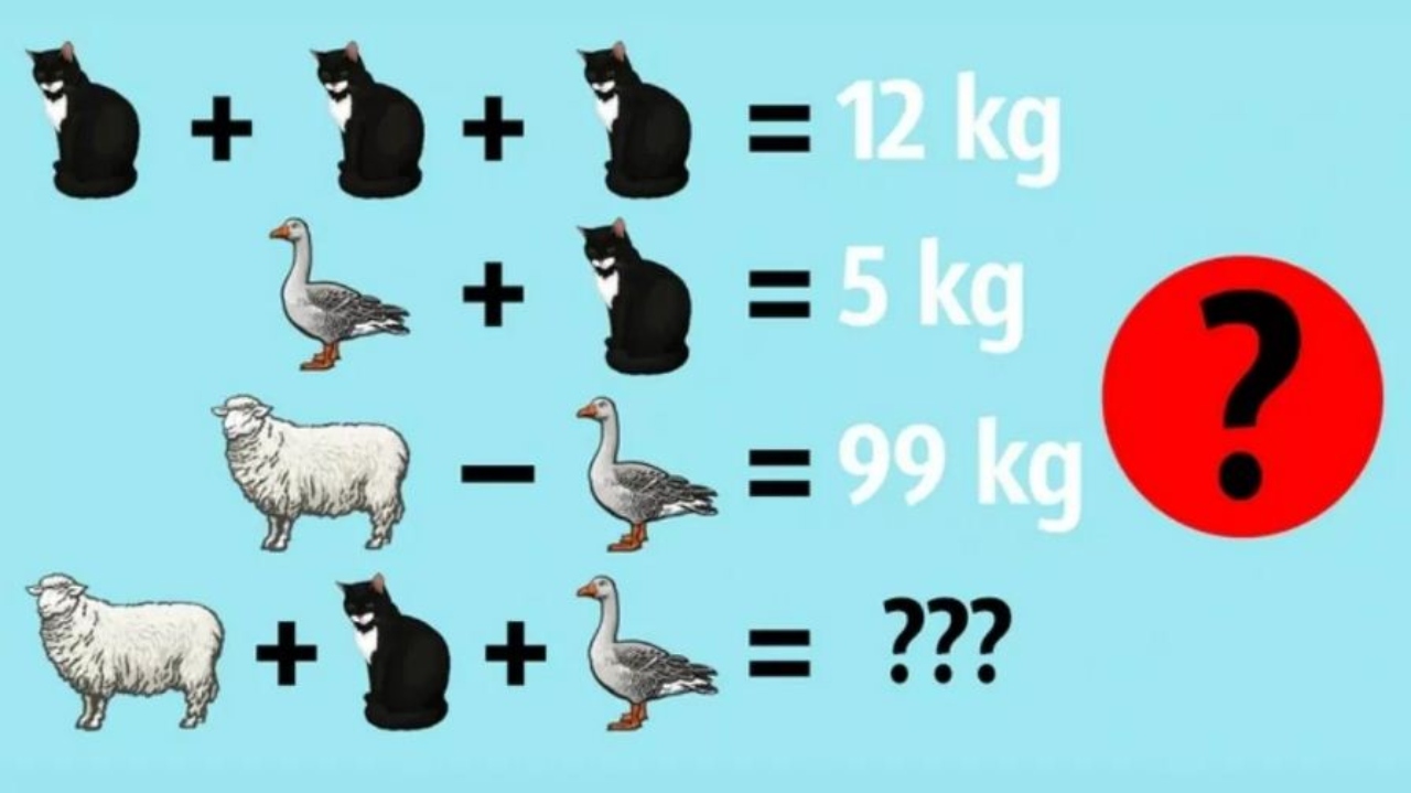 لغز اختبار الذكاء: ذهنك متوقد إذا تمكنت من العثور على وزن الخروف والقطة والبطة في 15 ثانية؟