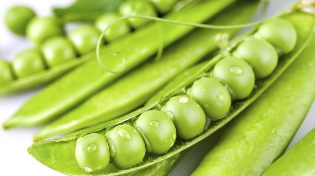  البازلاء الخضراء.. 4 أسباب ستغريك لتجعلها جزءًا من نظامك الغذائي