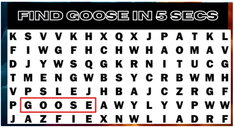 لمحبي استخدام تقنية 4K Vision ... ابحث عن كلمة Goose في 5 ثوانٍ فقط 8