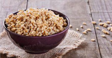 قيمة غذائية عالية⇐ فوائد جنين القمح لتقوية المناعة وكيفية استخدامه