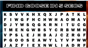 لمحبي استخدام تقنية 4K Vision … ابحث عن كلمة Goose في 5 ثوانٍ فقط