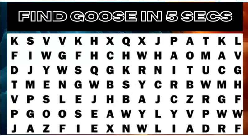 لمحبي استخدام تقنية 4K Vision ... ابحث عن كلمة Goose في 5 ثوانٍ فقط 7