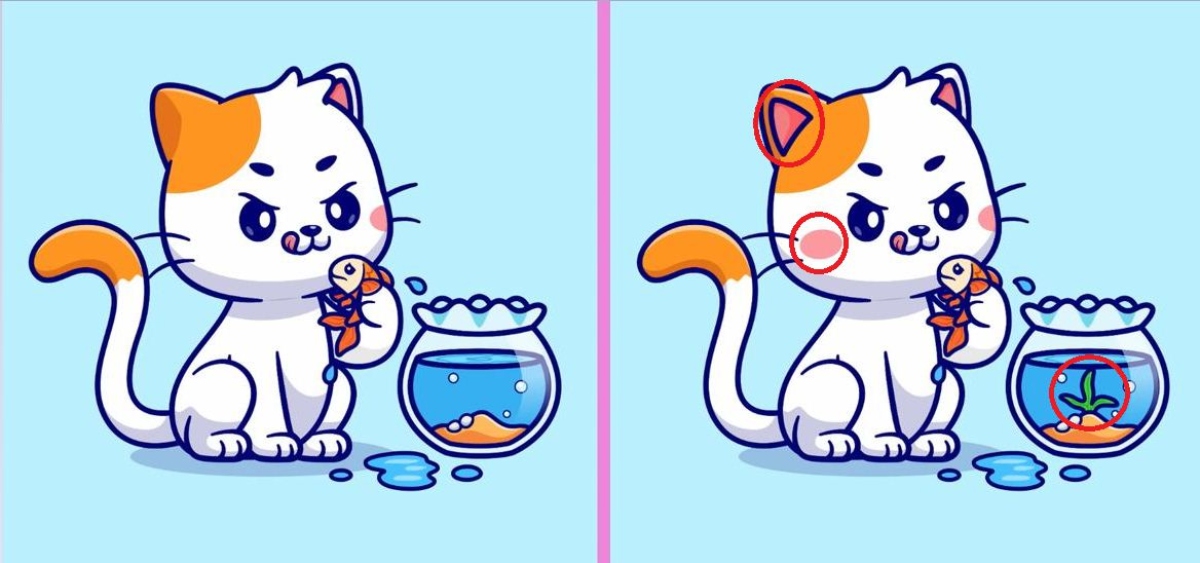 لغز اكتشاف الاختلافات.. إذا استطعت رؤية 3 اختلافات في صورة القطة التي تأكل السمك في غضون 12 ثانية، فأنت ذكي جدًا