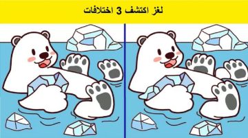 ما مدى حدة عقلك؟ اكتشف 3 اختلافات في صور الدب القطبي في 8 ثوانٍ