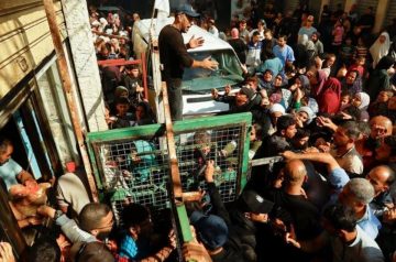 الأمم المتحدة: المجاعة وشيكة في غزة ولا تراجع عن الهجوم الإسرائيلي