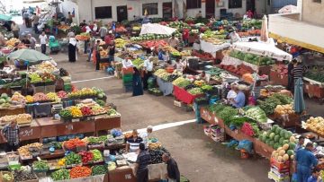 أسعار الخضروات والفاكهة اليوم الخميس 16 نوفمبر 2023