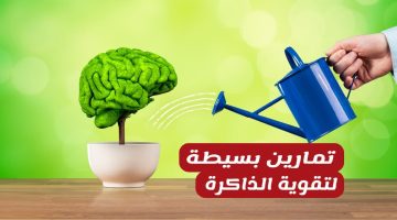 8 تمارين بسيطة للحفاظ على ذاكرتك قوية تستحق التجربة