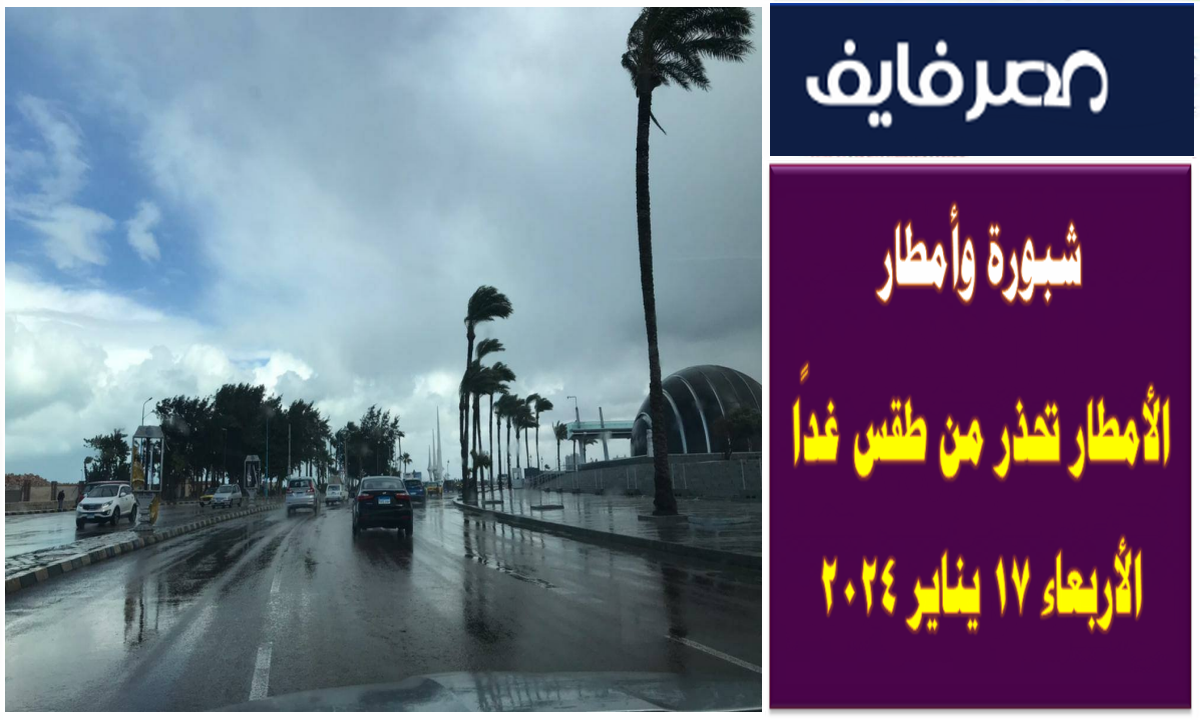 شبورة وأمطار .. الأمطار تحذر من طقس غدًا الأربعاء 17 يناير 2024