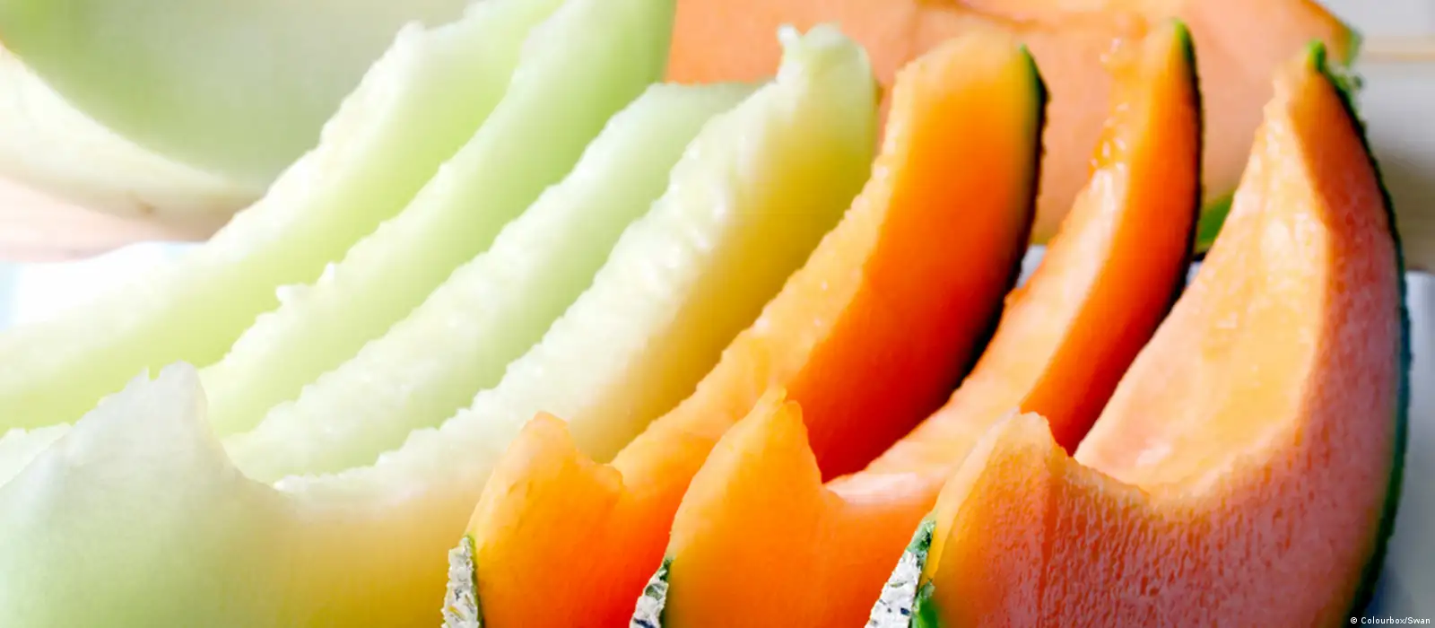 الشمام فاكهة غنية بالمغذيات.. يساعد على إنقاص الوزن ويحسن صحة القلب 9