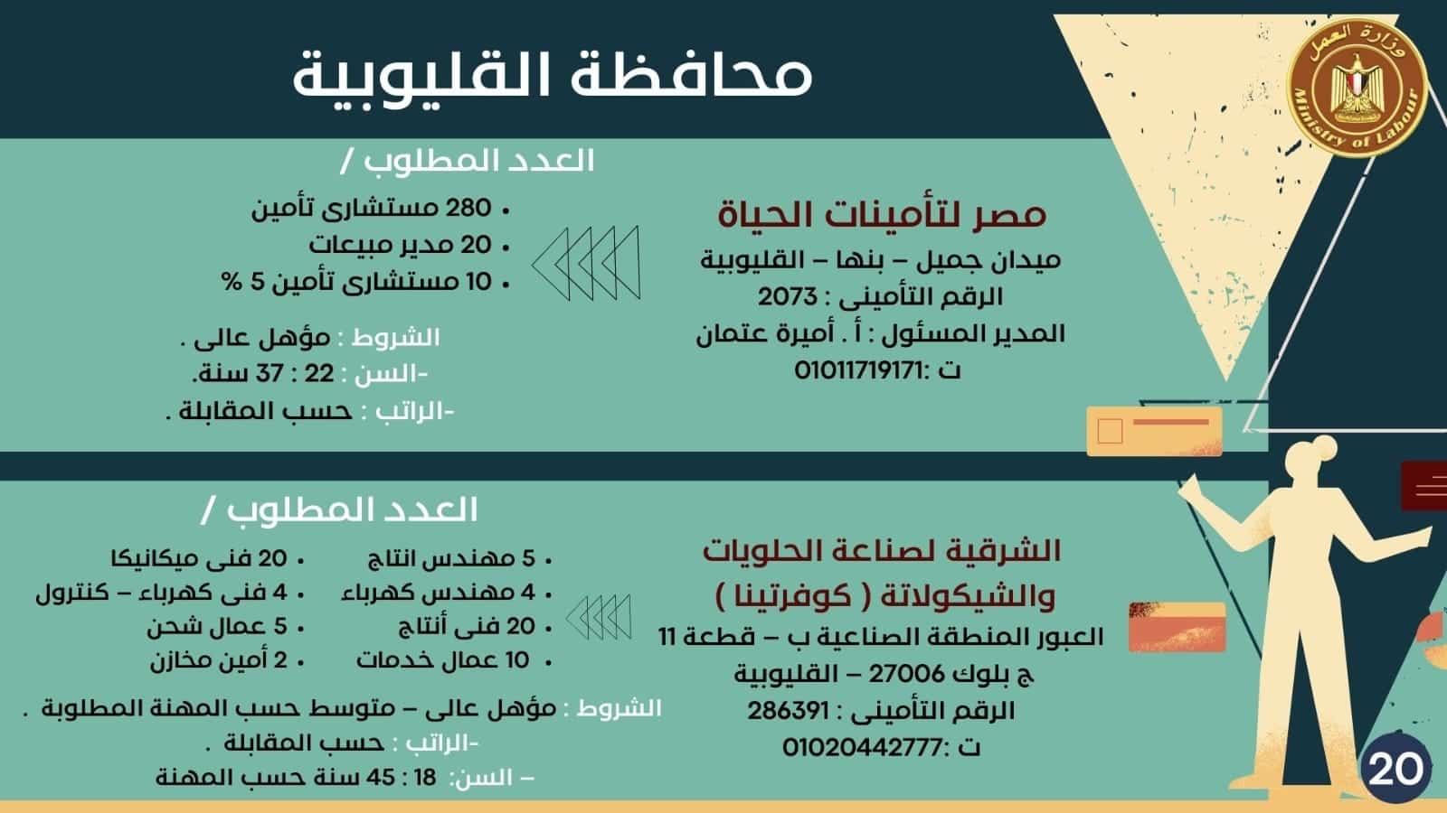 النشرة القومية للتشغيل لشهري أغسطس وسبتمبر 2024.. 5183 فرصة عمل لجميع المؤهلات برواتب مجزية 18