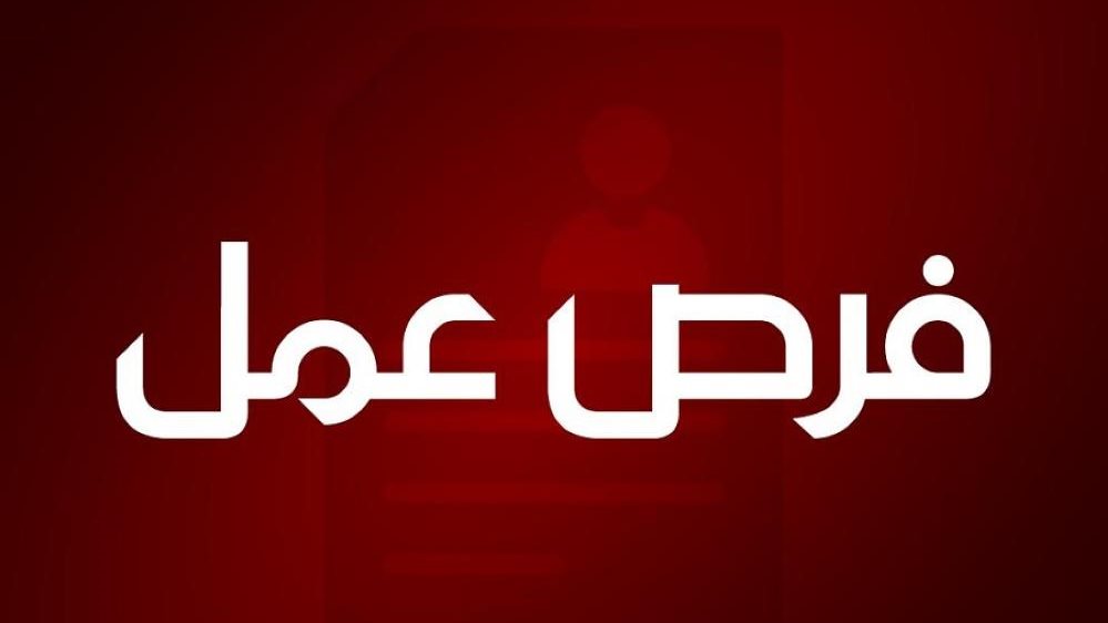 “فرصة العمر”.. وظائف مميزة في الإمارات برواتب تصل إلى 95 ألف درهم – الشروط وطريقة التقديم!