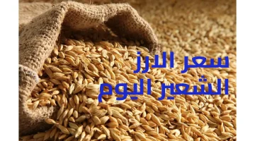 سعر طن الأرز الشعير اليوم في الأسواق المصرية – تحديث يومي 9