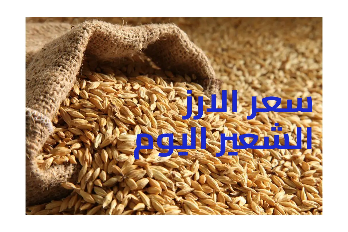 سعر طن الأرز الشعير اليوم في الأسواق المصرية – تحديث يومي