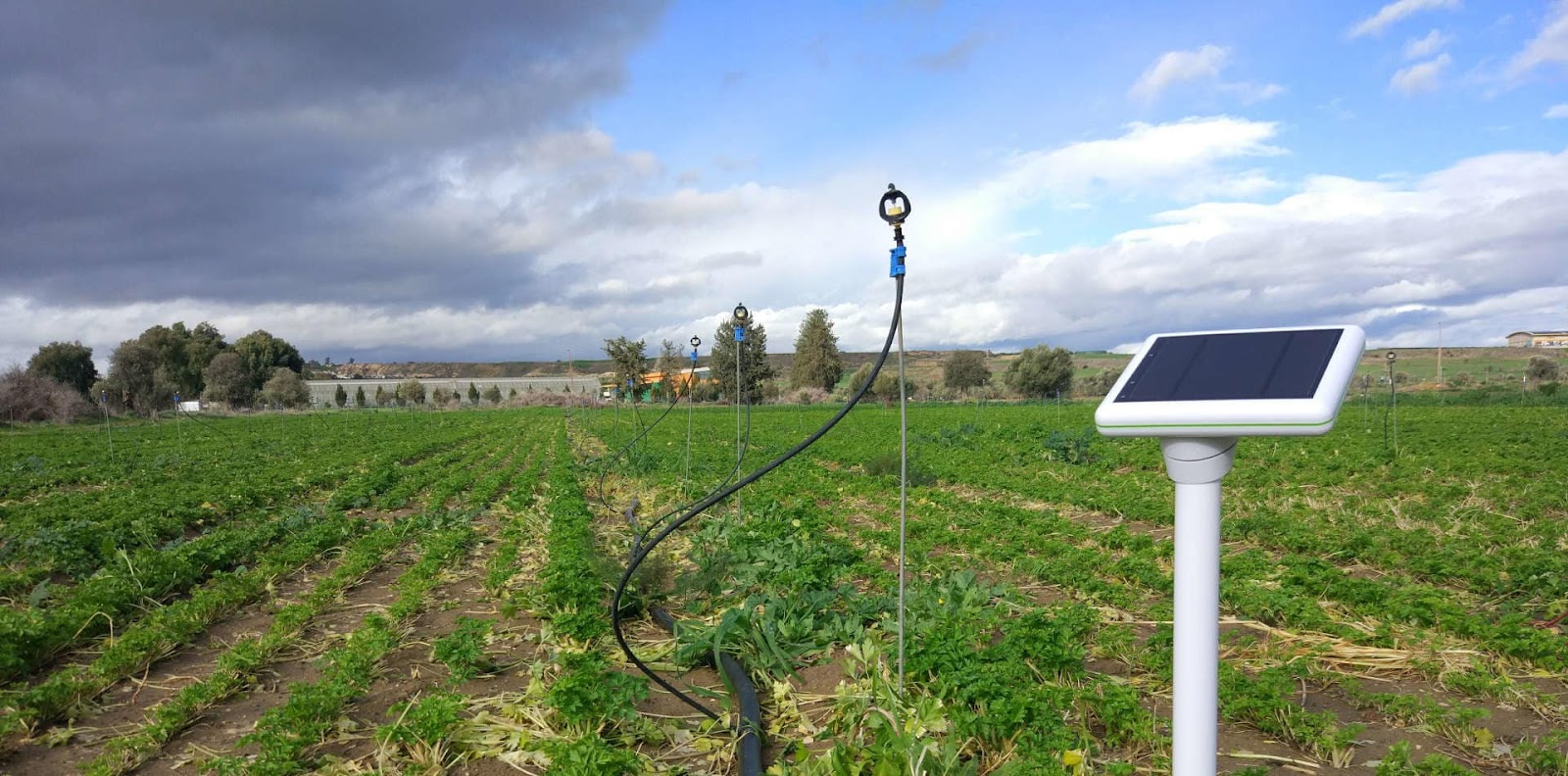 “اكتشف الآن” اللجوء للذكاء الاصطناعي 11 توصية لتعزيز القطاع الزراعي وزيادة الإنتاج