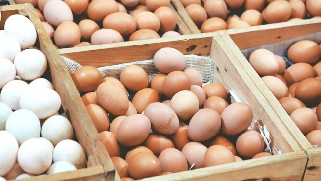 “عاجل ومفاجئ” سعر كرتونة البيض اليوم السبت 19 أبريل ينخفض بقيمة 80 قرشًا