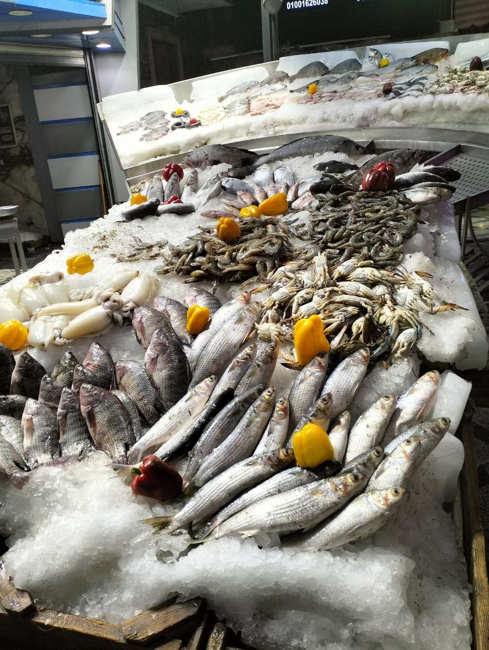 “اكتشف الآن” السبيط بـ250 جنيها.. مفاجأة في أسعار السمك مع بداية تعاملات اليوم السبت بالأسواق.