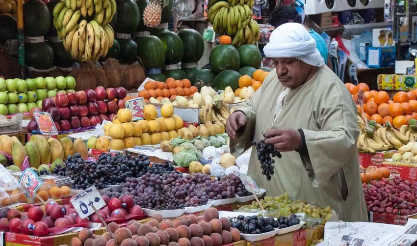 “اكتشف الآن” الطماطم بكام.. أسعار الخضراوات والفاكهة اليوم الأحد 20 يوليو 2025 في الأسواق