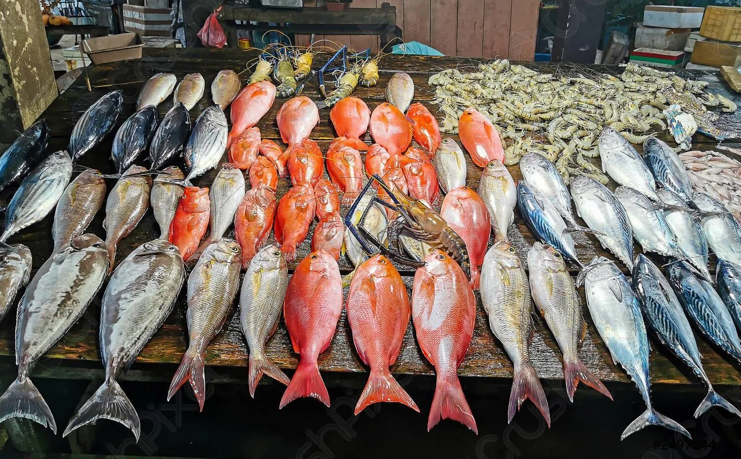 تعرف فورًا على آخر المستجدات.. أسعار السمك والمأكولات البحرية اليوم الإثنين 29 ديسمبر 2025